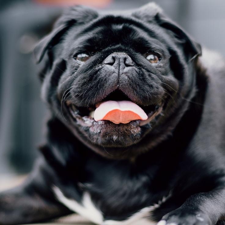 New name, Client Relations Director, discussing corporate gifting strategy with business clients